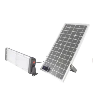 Solar Yard Light- 6000 Lumens - Remote Included