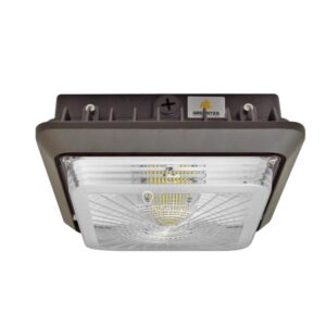 LED Canopy Light - 55W Outdoor Parking Garage Light - Brown & White - (UL+DLC Listed)